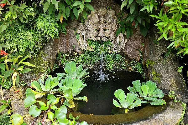 高清摄影 一个被绿植环绕的小池塘和一座雕塑
