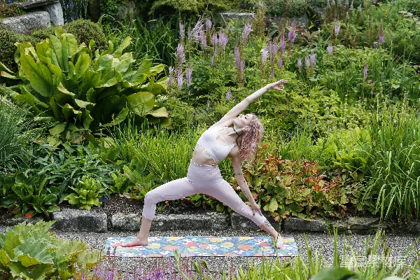 高清摄影 白天女性做瑜伽