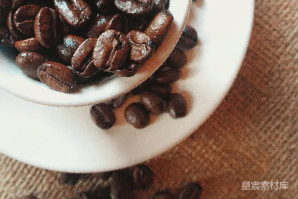 棕色的咖啡豆放在白色的陶瓷盘中
