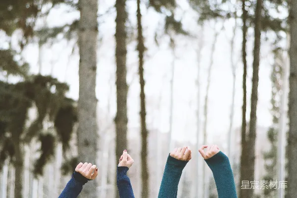 高清摄影 身穿蓝色牛仔裤的人站在森林里白天