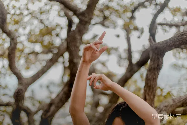 高清摄影 女人靠近树时举起双手