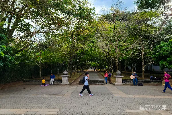 高清摄影 一群人在公园里散步