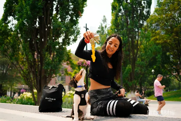 高清摄影 地上坐着一位妇女和一只狗。