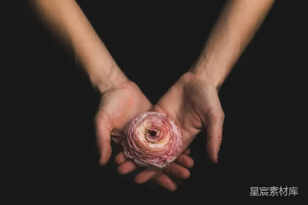 高清摄影 手持粉红花的人