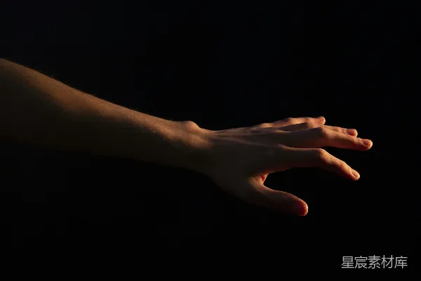 高清摄影 一张手的特写