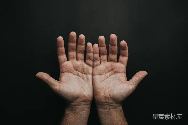 高清摄影 人手 palm