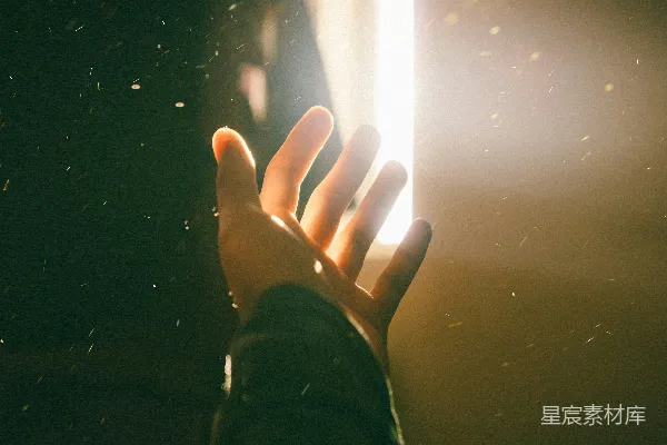 高清摄影 近景拍摄的人左手掌部