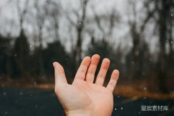 高清摄影 左边人物的手的照片