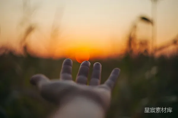 高清摄影 聚焦于一个人用手遮住夕阳的照片