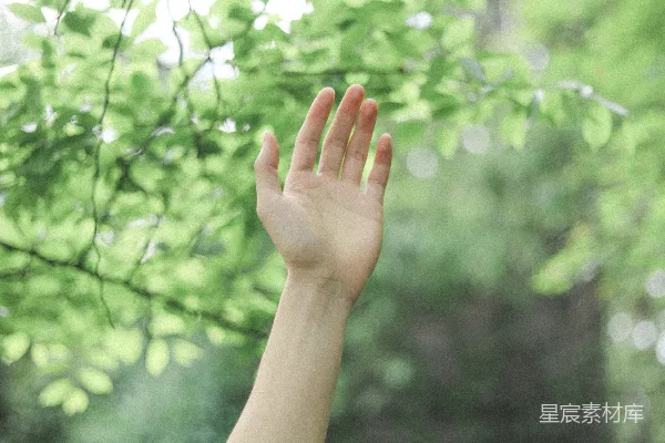高清摄影 白色长袖衫的人手持绿叶在白天