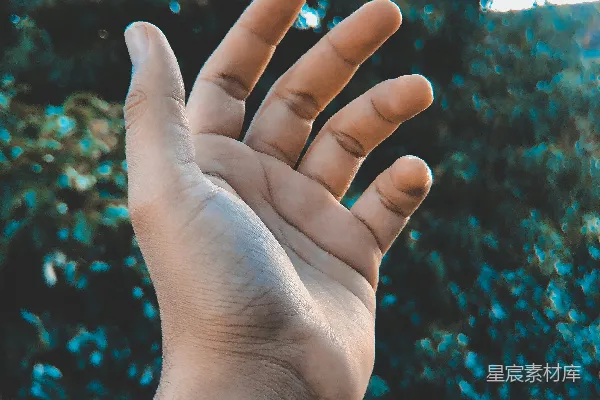 高清摄影 人的左手