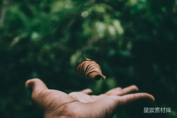 高清摄影 棕色和黑色条纹图案印在人的手上