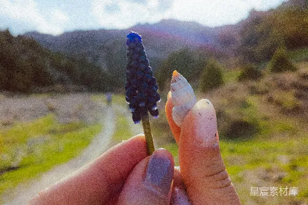 高清摄影 一个手持小花的人