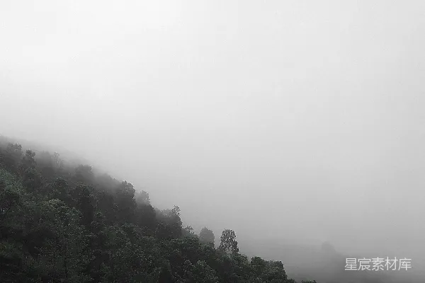 高清摄影 绿树环绕的田野
