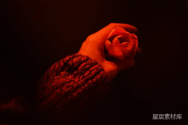 高清摄影 手中拿着一枝红玫瑰的人