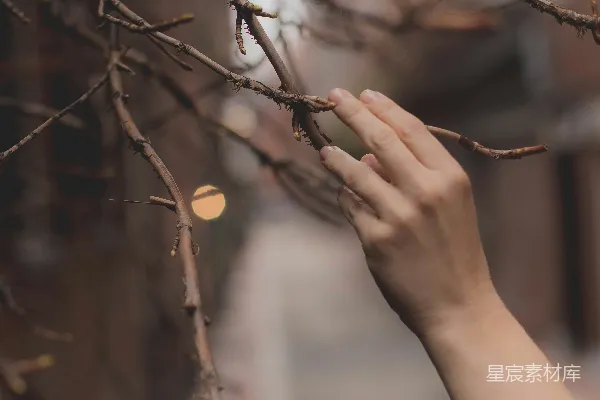 高清摄影 手持棕色干枯叶子的人