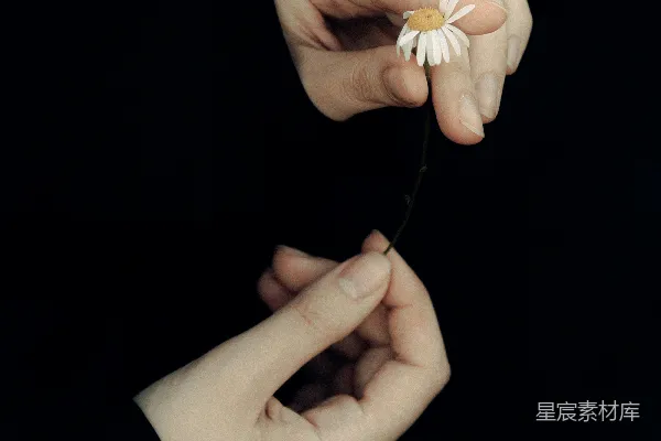 高清摄影 黑暗房间中持有一束白色花朵的人