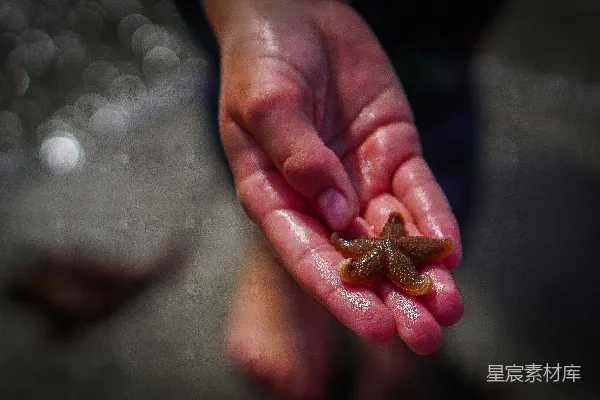 高清摄影 手中拿着一只小海星的人