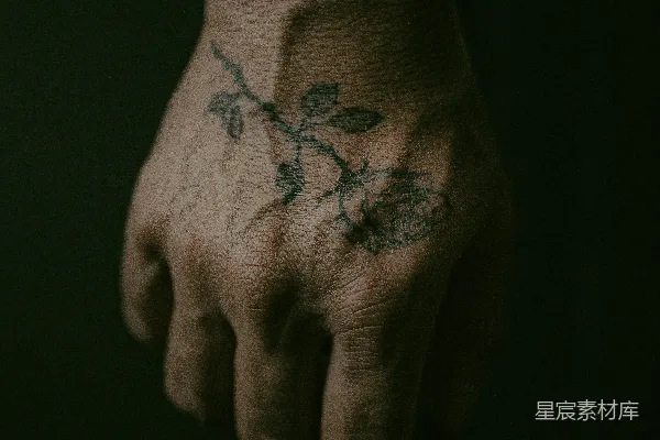 高清摄影 人身手上的黑色和红色花卉纹身