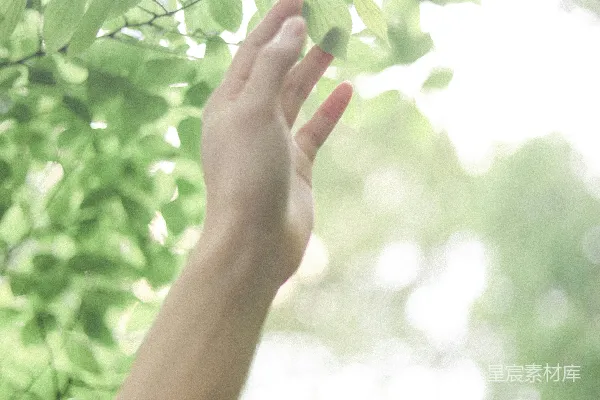 高清摄影 白天手持绿叶的人