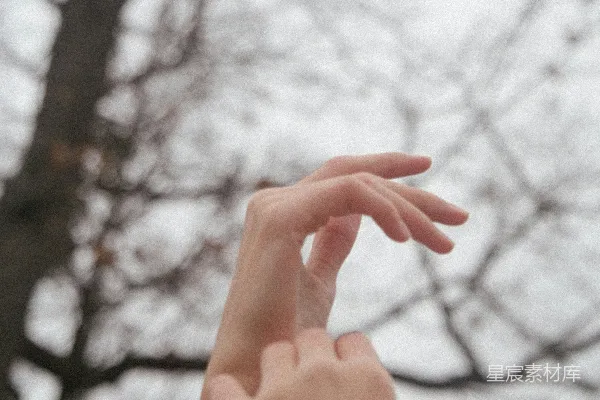 高清摄影 人的手出现在裸树前