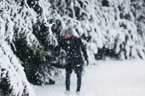 穿着黑色夹克的人站在覆盖着白雪的树旁