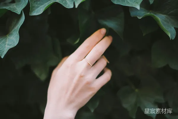 高清摄影 有人触摸绿色带叶的植物