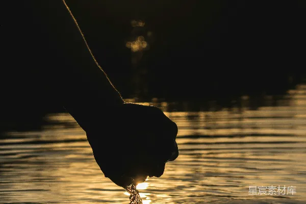 高清摄影 夕阳下，人身上的鸟影轮廓