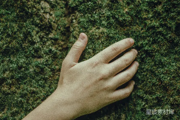 高清摄影 正确的人手按在苔藓上