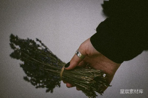 高清摄影 手持绿色和棕色植物的人