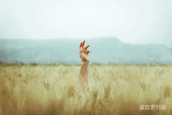 高清摄影 穿着棕色长袖衬衫的人举起双手