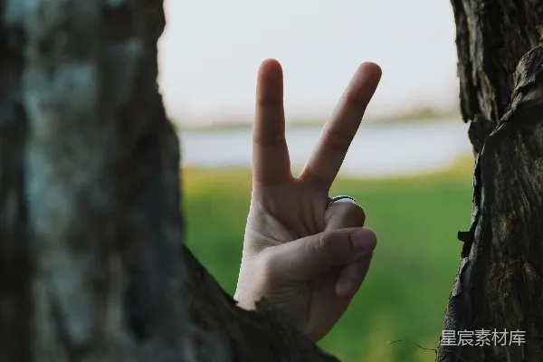 高清摄影 树洞中通过手势做出和平标志的人