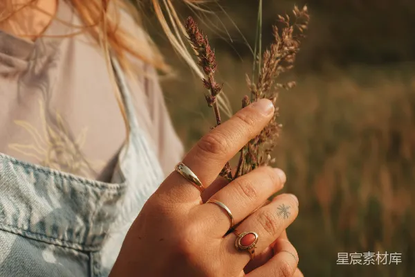 高清摄影 一个女人手里拿着一盆植物