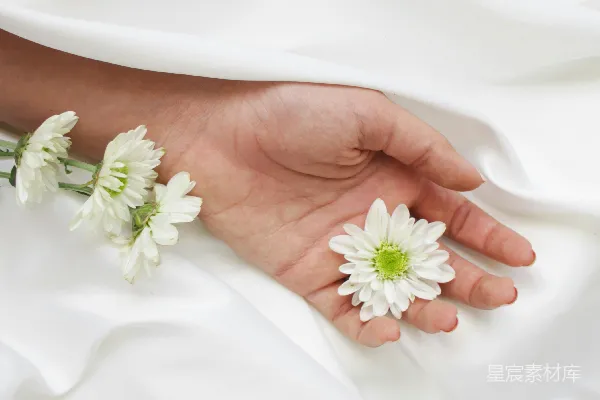 高清摄影 手上的白花