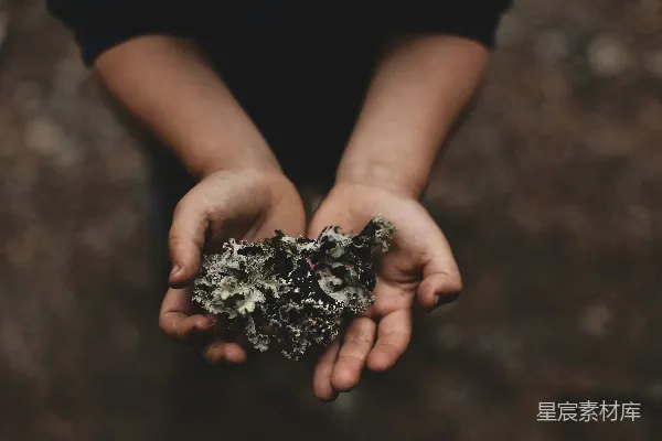 高清摄影 掌中握着珊瑚的人