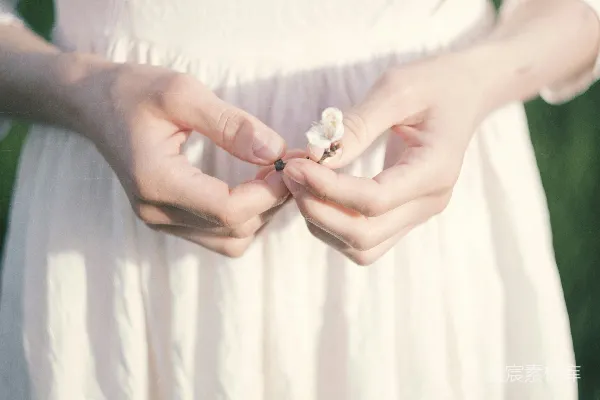 高清摄影 女性双手拿着一朵小白色花朵。