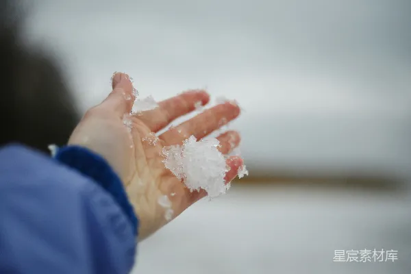 高清摄影 一个手里伸出的手掌上覆盖着雪