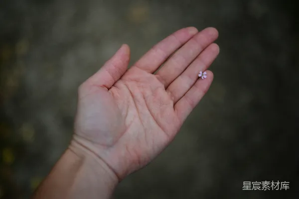 高清摄影 一个人的手拿着一枚小巧的钻戒