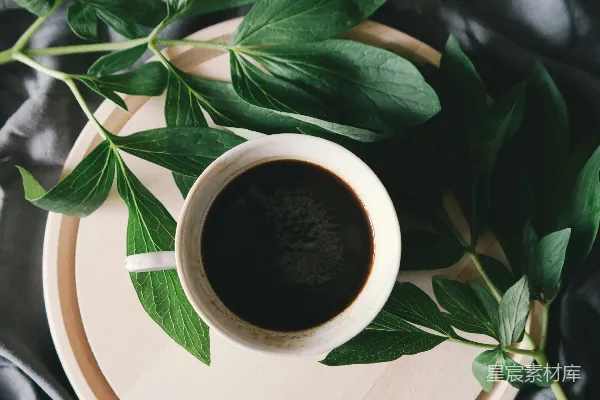 高清摄影 白瓷 mug 靠近 绿叶