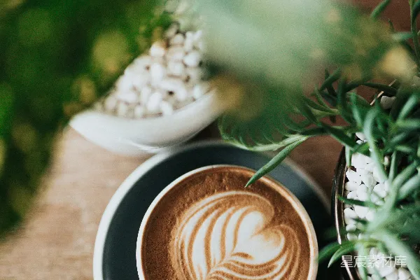 高清摄影 白色的白瓷咖啡杯置于白色碟上