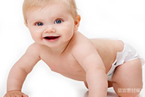 元素素材 PNG
