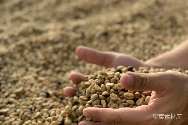 高清摄影 手持棕色和白色石头的人