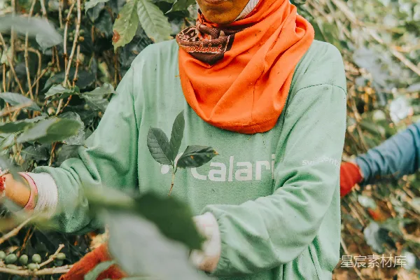 高清摄影 绿色夹克和橙色围巾的女人在白天站在干枯的树叶上