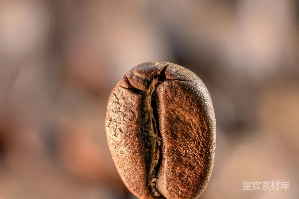 高清摄影 一颗 roasted 咖啡豆 在焦点中漂浮。