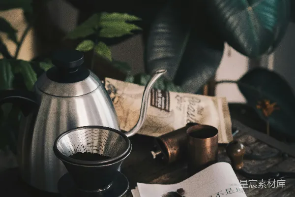 高清摄影 黑咖啡磨机靠近灰色不锈钢茶壶，旁边是绿色橡胶植物。