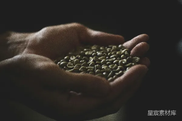高清摄影 黑暗房间中有人拿着豆子