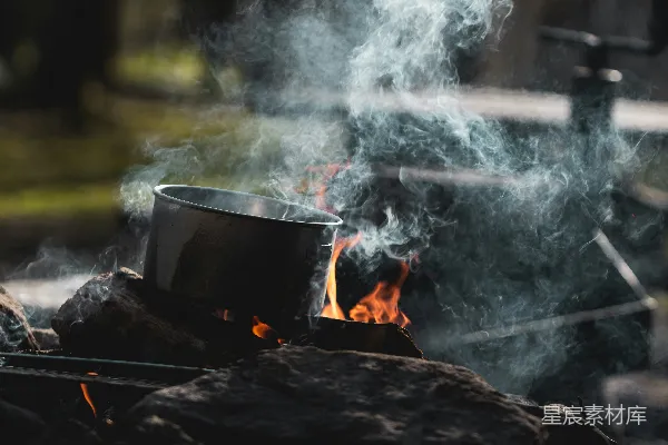 高清摄影 白天森林中燃烧的木头