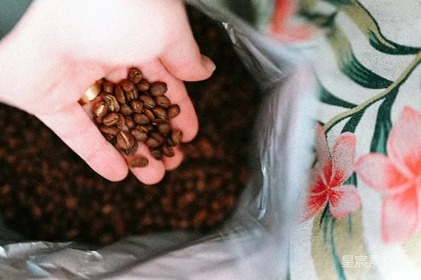 高清摄影 一小把烘焙好的咖啡豆装在一个袋子里