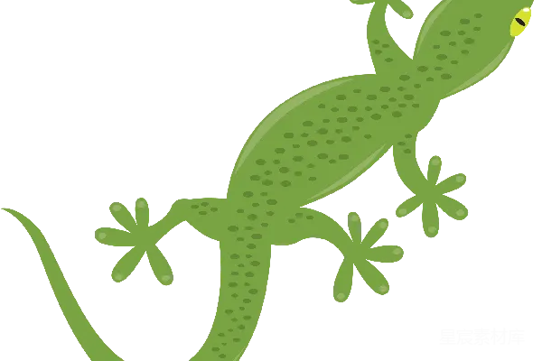 Gecko