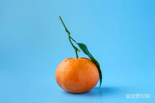 高清摄影 橙色的水果